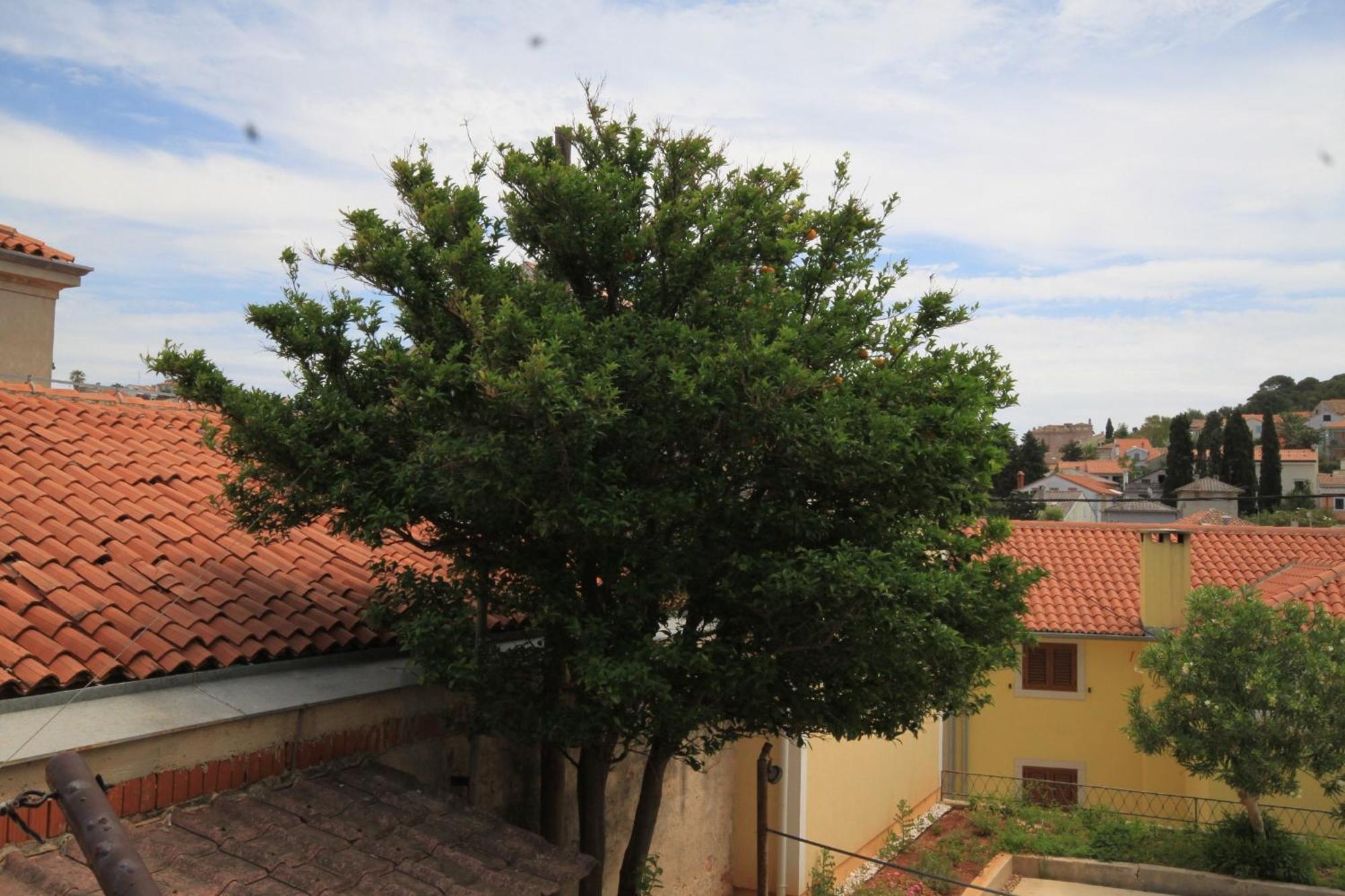 Apartments And Rooms With Parking Space Mali Losinj Bagian luar foto
